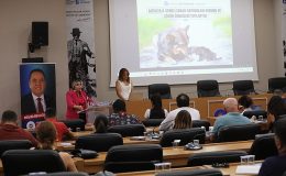 Antalya Büyükşehir sahipsiz hayvanlar için harekete geçti