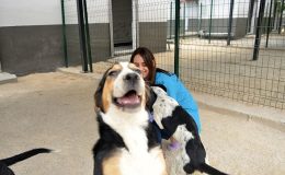 Mersin Yenişehir Belediyesi sokak hayvanları için 15 bin metrekarelik bakımevi oluşturdu